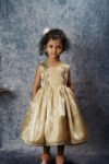 Elegant Golden Party Wear Frock for Girls